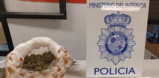 detenido con cogollos de marihuana