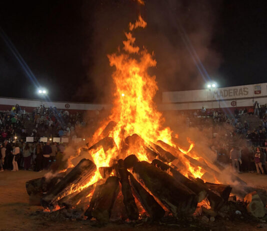 A subasta los puestos del Teo