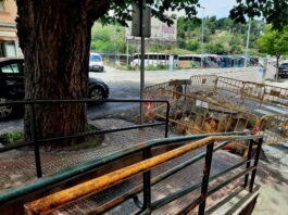 ejemplar único en Segovia en peligro