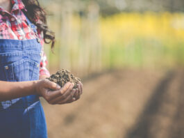 Cajaviva Caja Rural abre una línea de financiación para agricultores y ganaderos Cajaviva Caja Rural