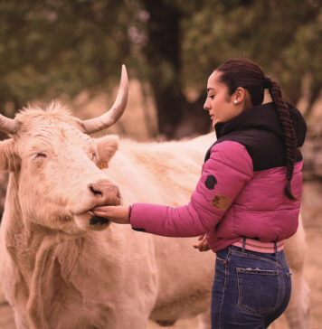 Concurso de Fotografía Prodestur