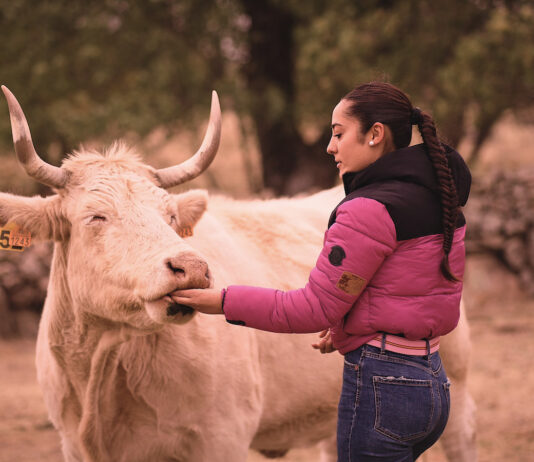 Concurso de Fotografía Prodestur