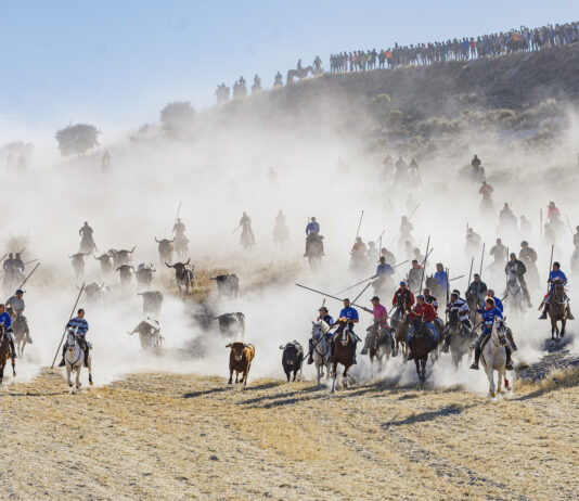 último encierro de Cuéllar