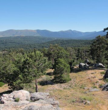 Rutas guiadas por la vertiente segoviana del Parque de Guadarrama