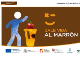 Qué va al contenedor marrón