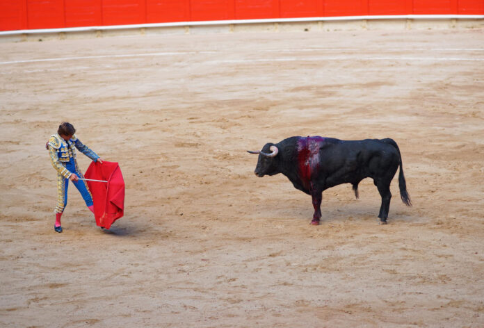 pueblo de Segovia regala entradas para los toros