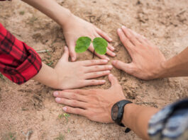 empresa segoviana verifica su huella de carbono