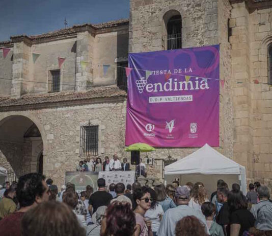 Fiesta de la Vendimia