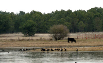 Cantalejo se moviliza contra las macroplantas de biogás por su impacto en el agua y la salud