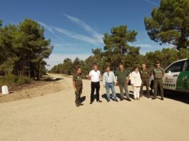 euros para pistas forestales en tres pueblos