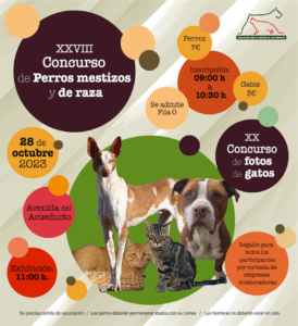 Concurso solidario de perros y gatos en Segovia