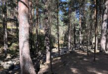 Excursiones en otoño por la Sierra