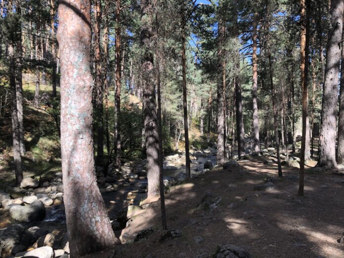 Excursiones en otoño por la Sierra