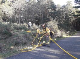 Preparados para un incendio en Montes de Valsaín