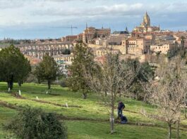 Parque del Cementerio de Segovia