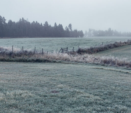 Un pueblo de Segovia registra