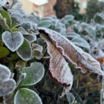 El termómetro cae hasta los -6,9 grados en este pueblo de Segovia pueblo de Segovia con la segunda temperatura