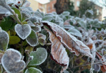 -6 grados en este pueblo de Segovia