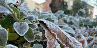 -6 grados en este pueblo de Segovia