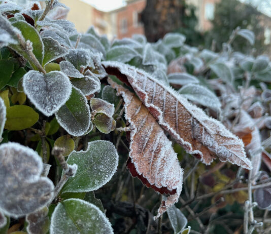 pueblo de Segovia con la segunda temperatura