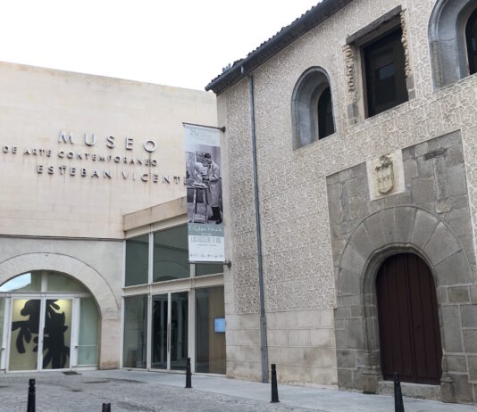 La Consejería de Cultura, Turismo y Deporte de la Junta aporta 90.000 euros al Esteban Vicente, continuando con "su compromiso con el Museo".