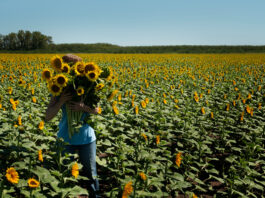rescate del vocabulario de Castilla y León