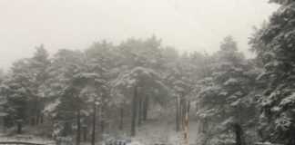 Alerta por nieve en Segovia
