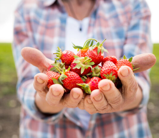 Segovia alimenta a Madrid