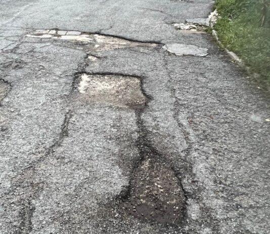 Ciudadanos pide que se actúe con urgencia en los baches de las calles y aparcamientos de Segovia