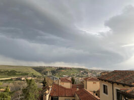 Segovia cierra parques y jardines