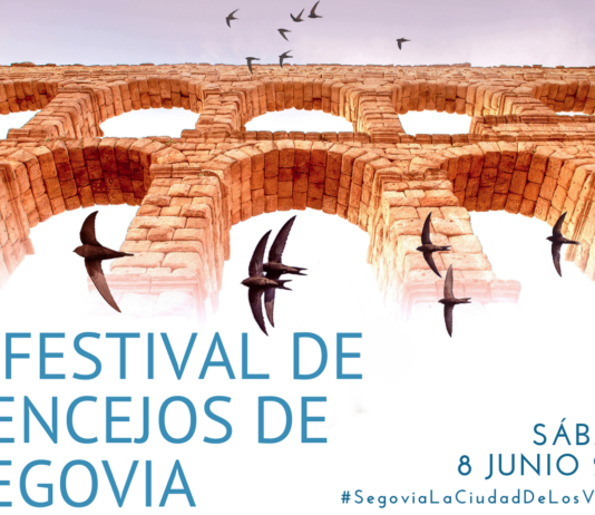 Aves que anidan en el Acueducto de Segovia
