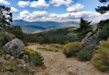 paseo por la Sierra de Guadarrama