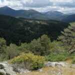 54 desempleados se contratarán en Segovia