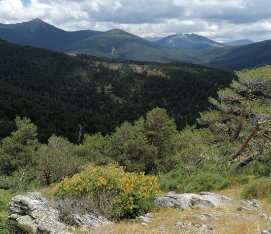 54 desempleados se contratarán en Segovia