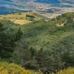 Cogiendo aire en Segovia