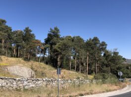 pueblo de Segovia enajena parcelas