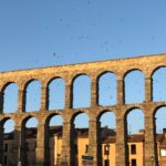 Segovia, ciudad amiga de los vencejos