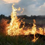 Prohibiciones por la alerta de incendios