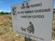 pueblo de Segovia los perros