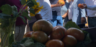 pueblo de Segovia se prepara para la Feria del Tomate