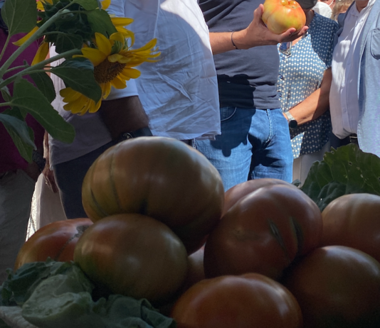 pueblo de Segovia se prepara para la Feria del Tomate