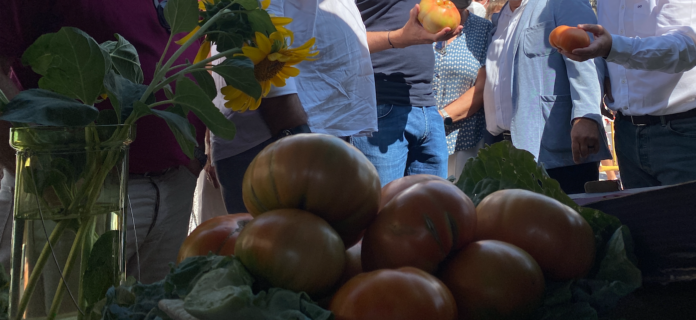 pueblo de Segovia se prepara para la Feria del Tomate