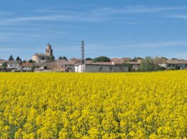 El pueblo de Segovia que llenará de literatura todas sus calles