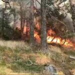 El incendio forestal de El Espinar