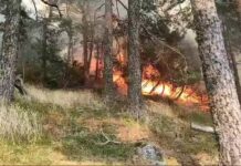 El incendio forestal de El Espinar