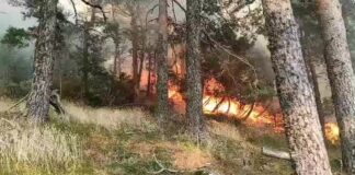 El incendio forestal de El Espinar