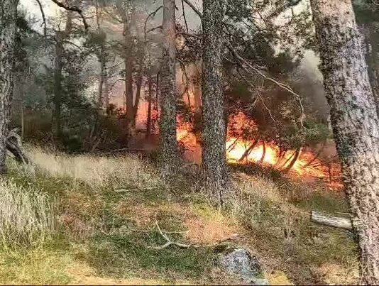 El incendio forestal de El Espinar