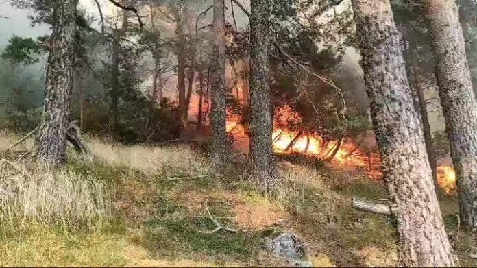 El incendio forestal de El Espinar