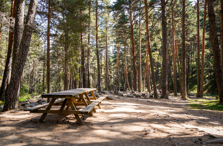 Planes para este fin de semana en la provincia de Segovia