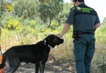 Investigado el dueño de un perro